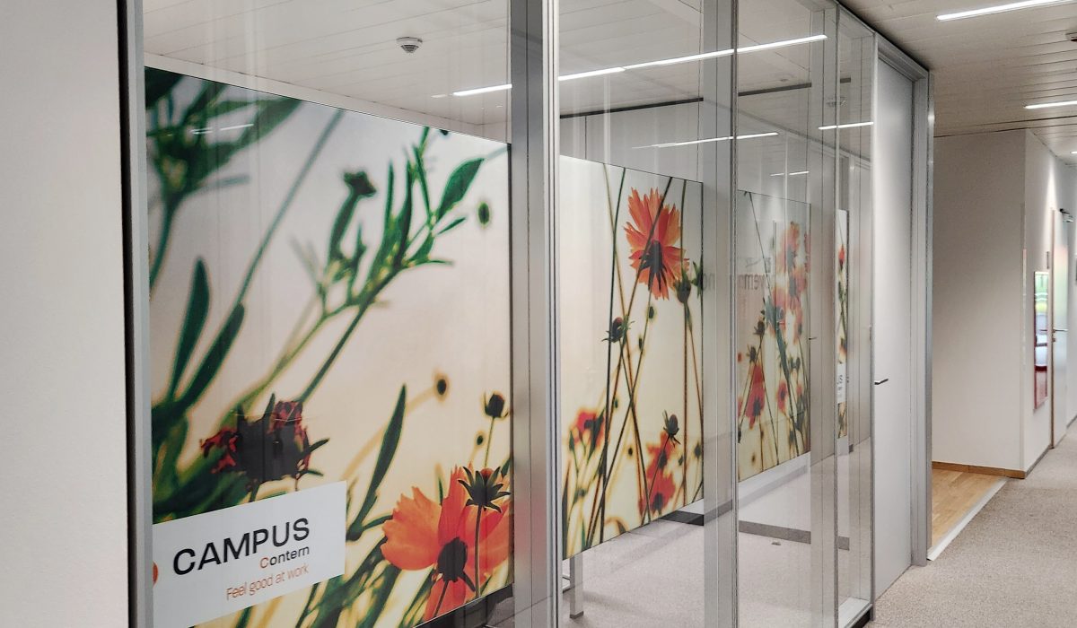 campuscontern.lu_BC_colibri_05