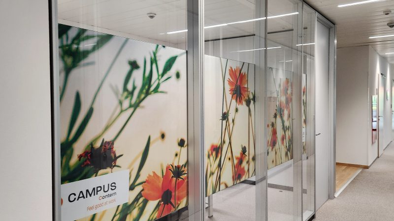 campuscontern.lu_BC_colibri_05